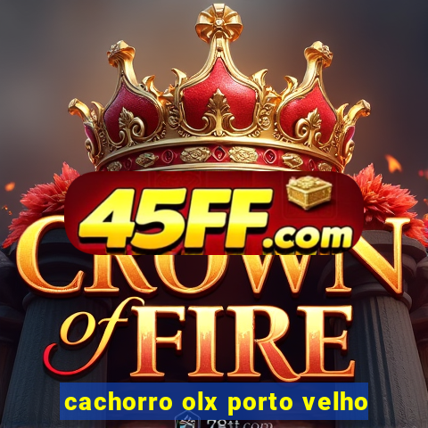 cachorro olx porto velho